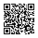 QR Cailyn Foundation Pinsel flache Zwinge